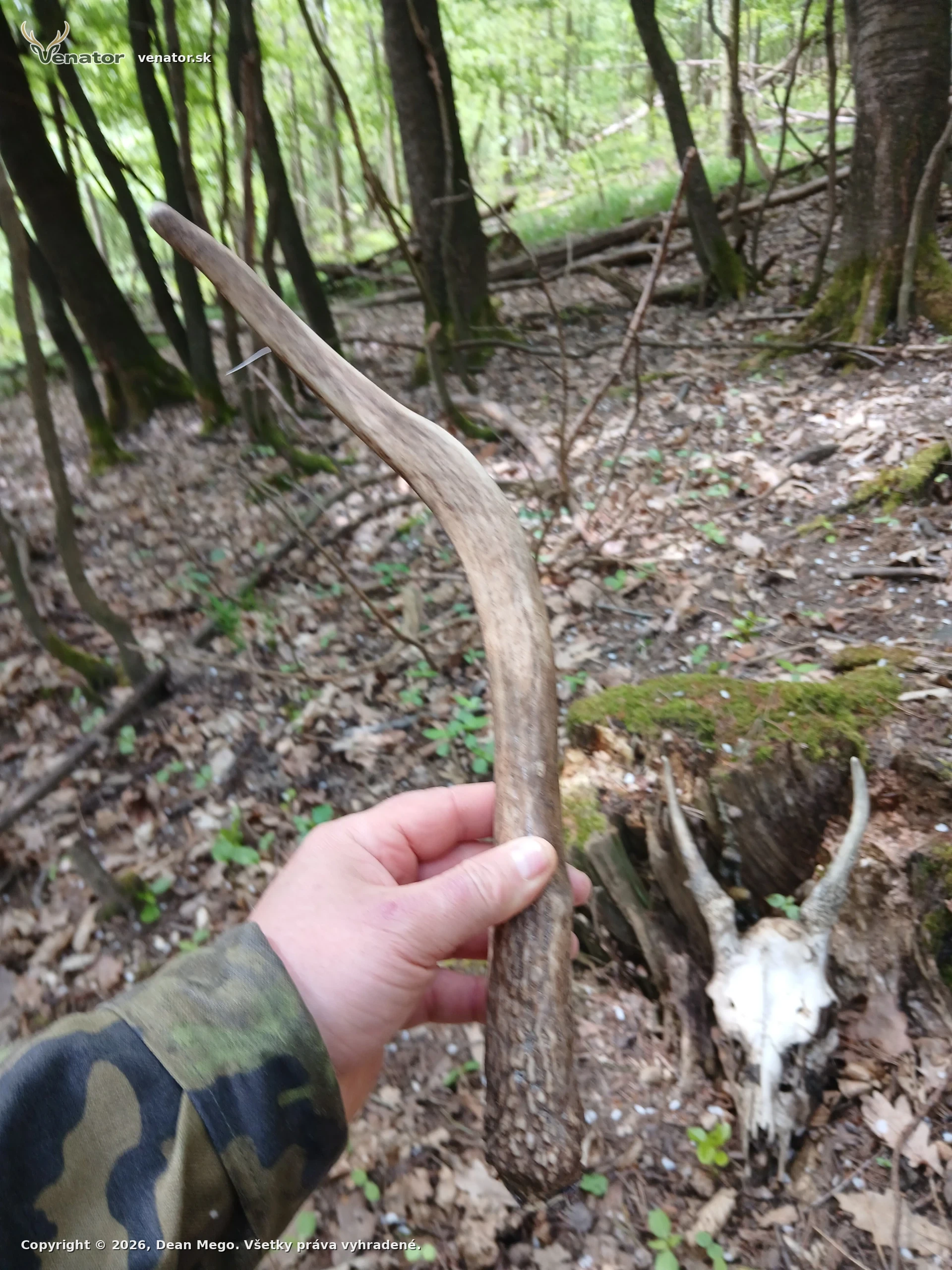 Dakujem horam🌲🌲🌲