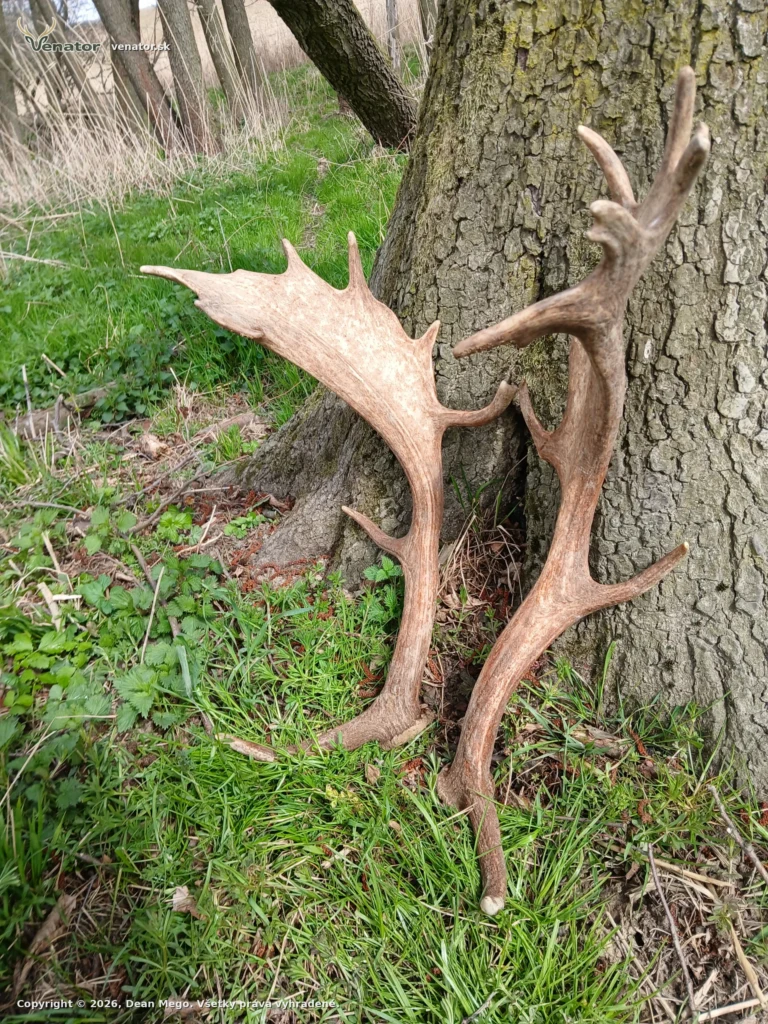 To je tadost