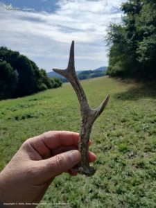 Je to krasa🌲🌿🌲