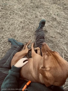 Komu je lepšie🐶🤎