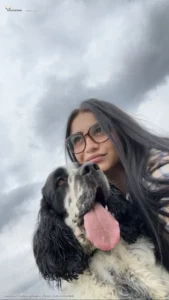 Anglický Špringer Španiel 🐾🐶Ajduška