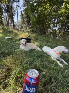 Tréning 🐾