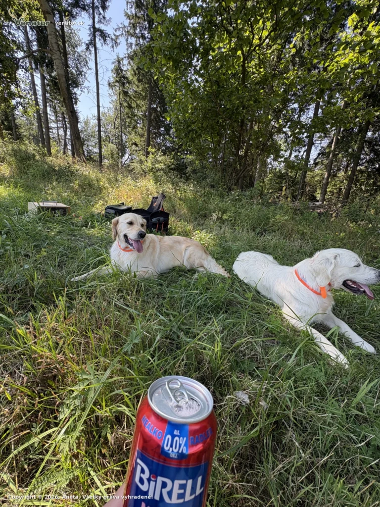 Tréning 🐾